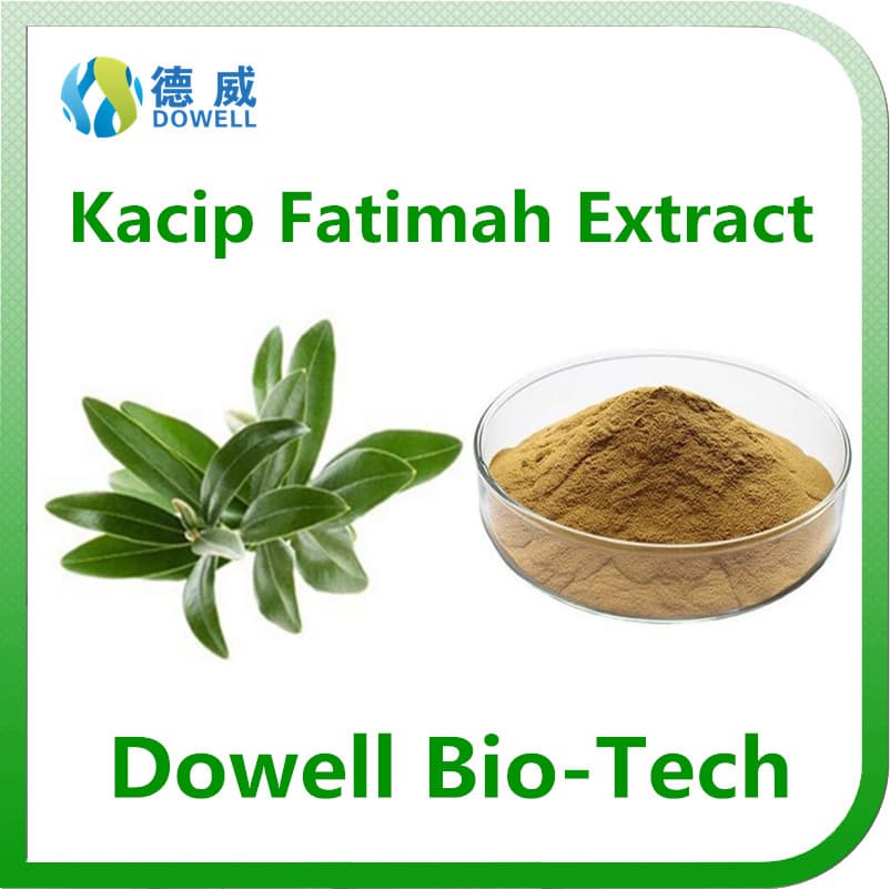Factory supply natural top quality female Kacip Fatimah Extract 5_1_10_1